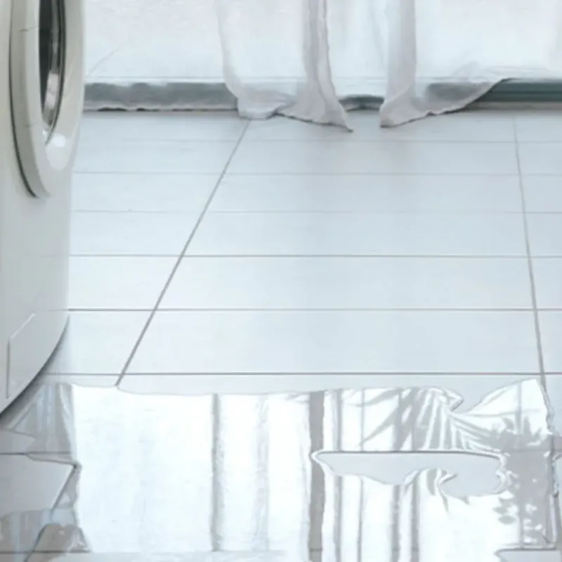 Appliance Leak Cleanup in Lake City, AR